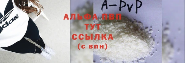прущие грибы Осташков