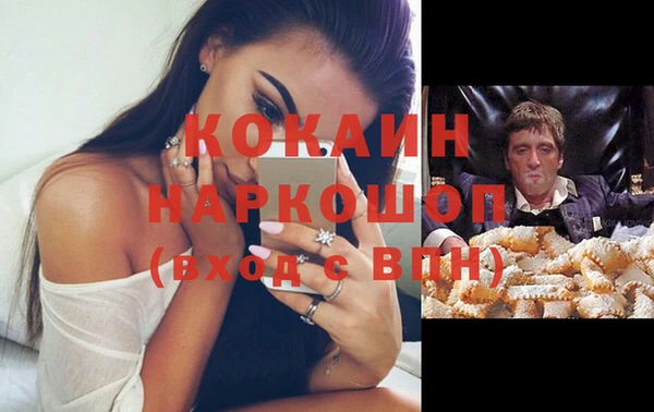прущие грибы Осташков