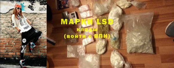 прущие грибы Осташков