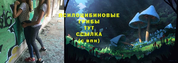 прущие грибы Осташков