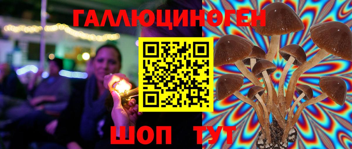 Псилоцибиновые грибы мухоморы  что такое наркотик  Тулун  Вход с VPN 